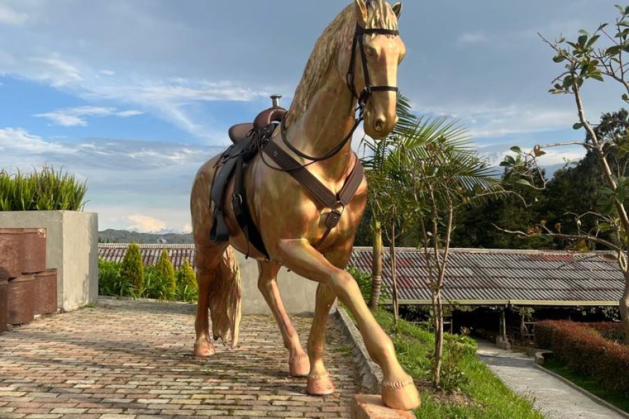 Conexión equina + Show de caballos españoles