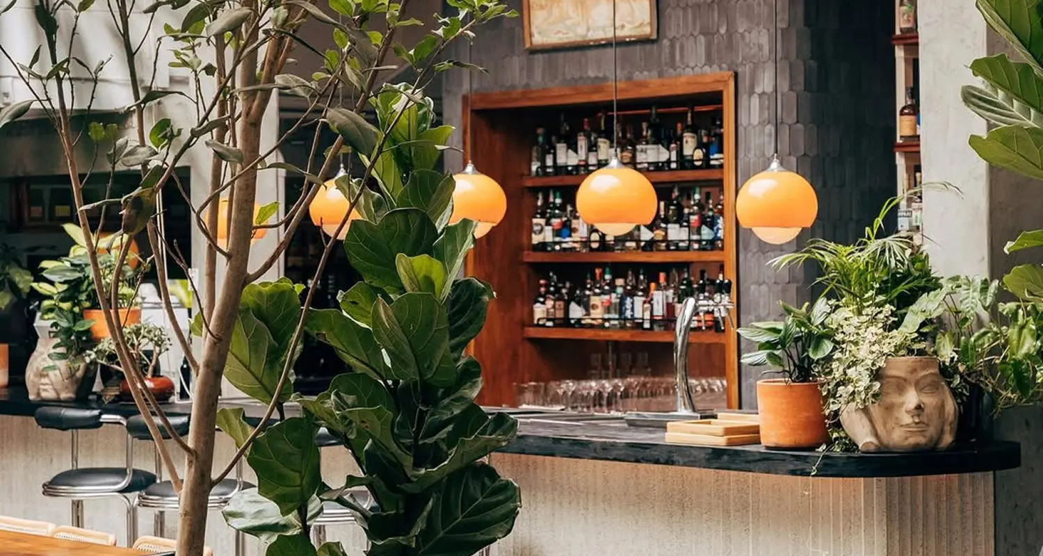 Café Dragón